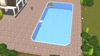 Негр-влак кугу кӱтӱчылан ӱдыр-влак дене шоҥго самырык ӱдыр член